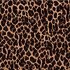 laurahughes115